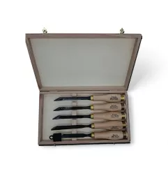Coffret d'outil de mortaisage manuel largeur 8 mm avec manche renforcé.
