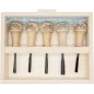 Coffret de 5 gouges de sculpteur